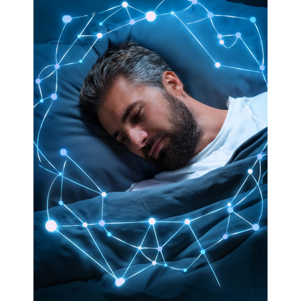 Sleep And Circadian Rhythms How To Reset Your Body Clock Restolex